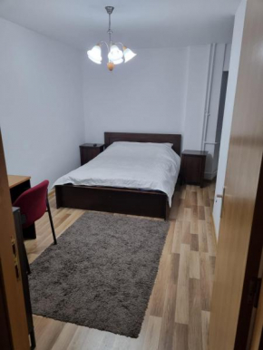 apartament Calea Victoriei nr 1